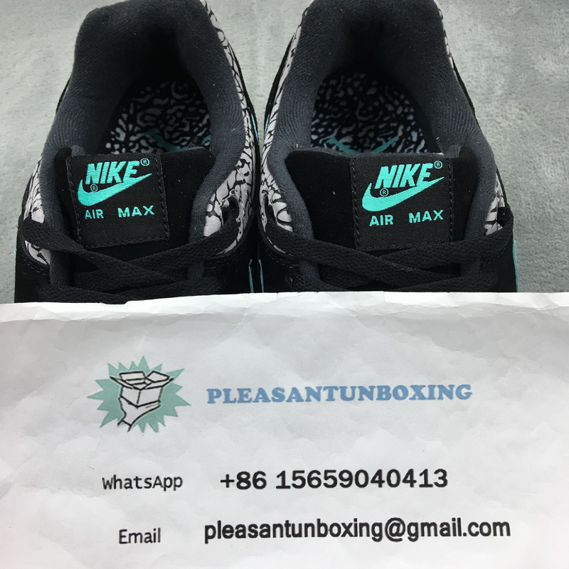 Authentic Air Jordan 3 x air max 1 “Atmos”